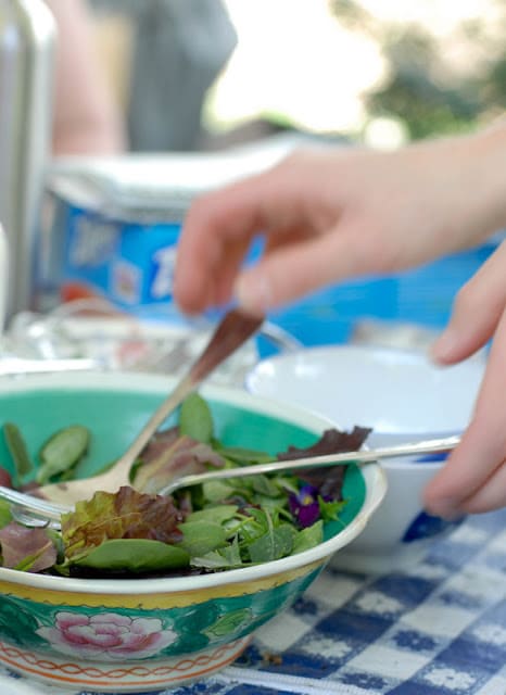 Urban Foraging: Salad