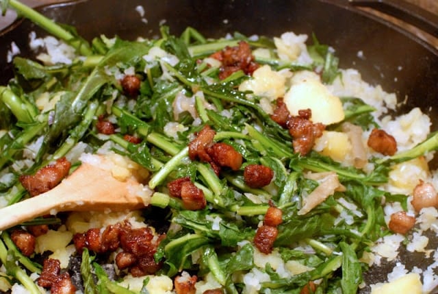 warm cooked Dandelion Salad