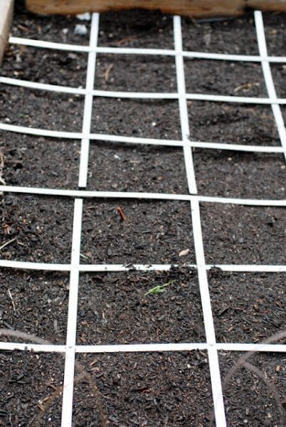 Square Foot Garden with grid