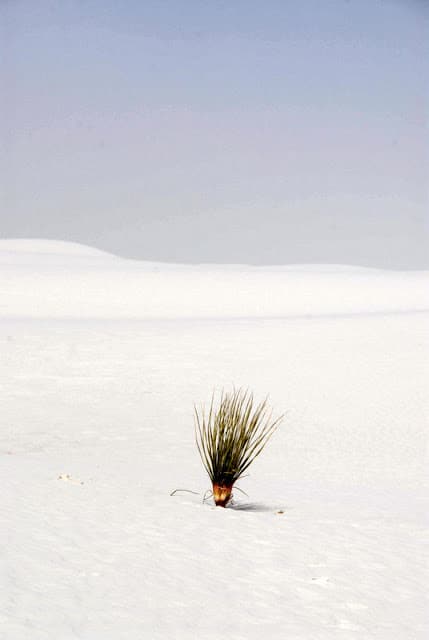 white sand dunes at Alamogordo NM