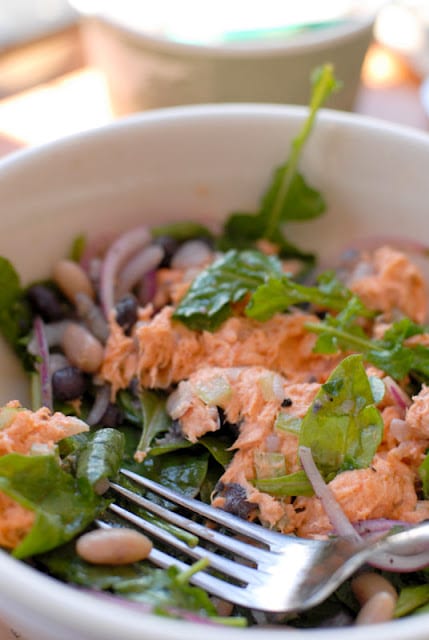 salmon salad