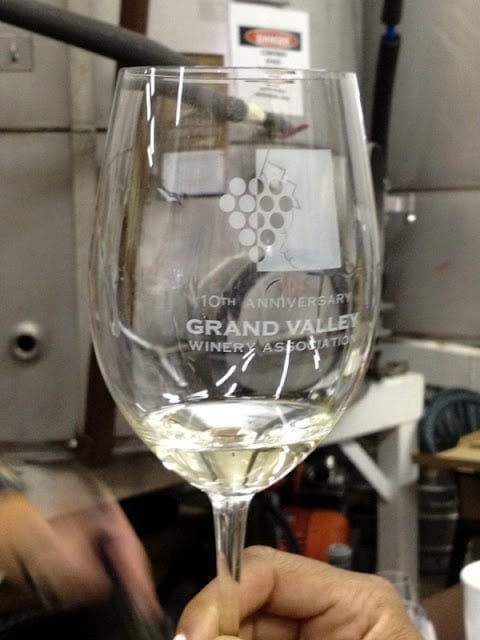 A close up of a wine glass