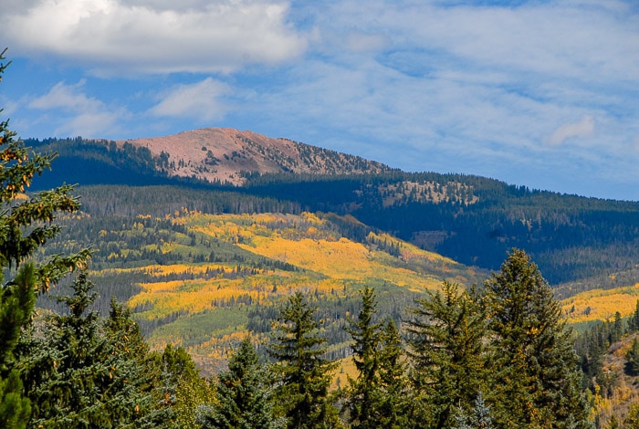 fall colors in the Vail Colorado mountains 