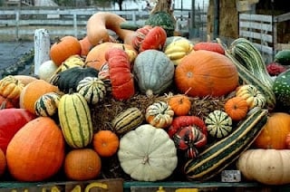 a pile of pumpkins and colorful gourds