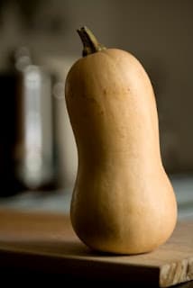 BUTTERNUT SQUASH