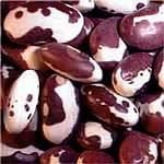 anasazi beans