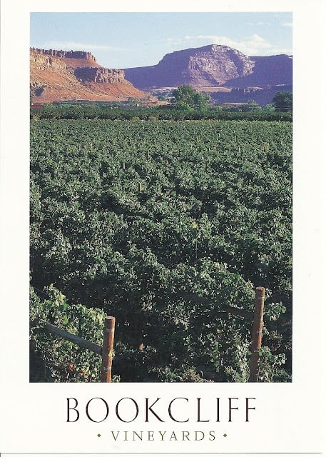 A tree with a mountain in the background