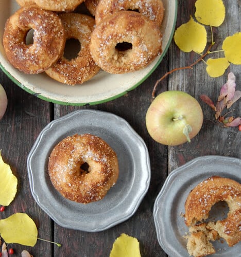 Apple Cider Donuts Made With Dash Donut Maker