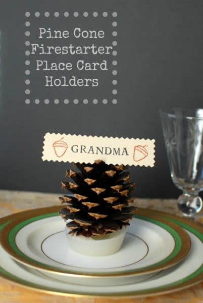 Pine Cone Firestarter Place Card Holder 