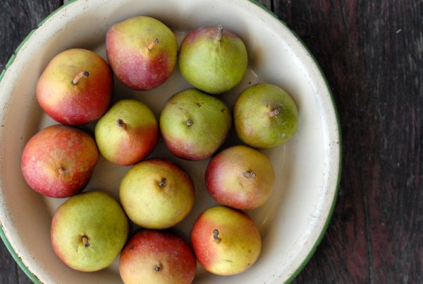 Seckel pears in pie plate from above