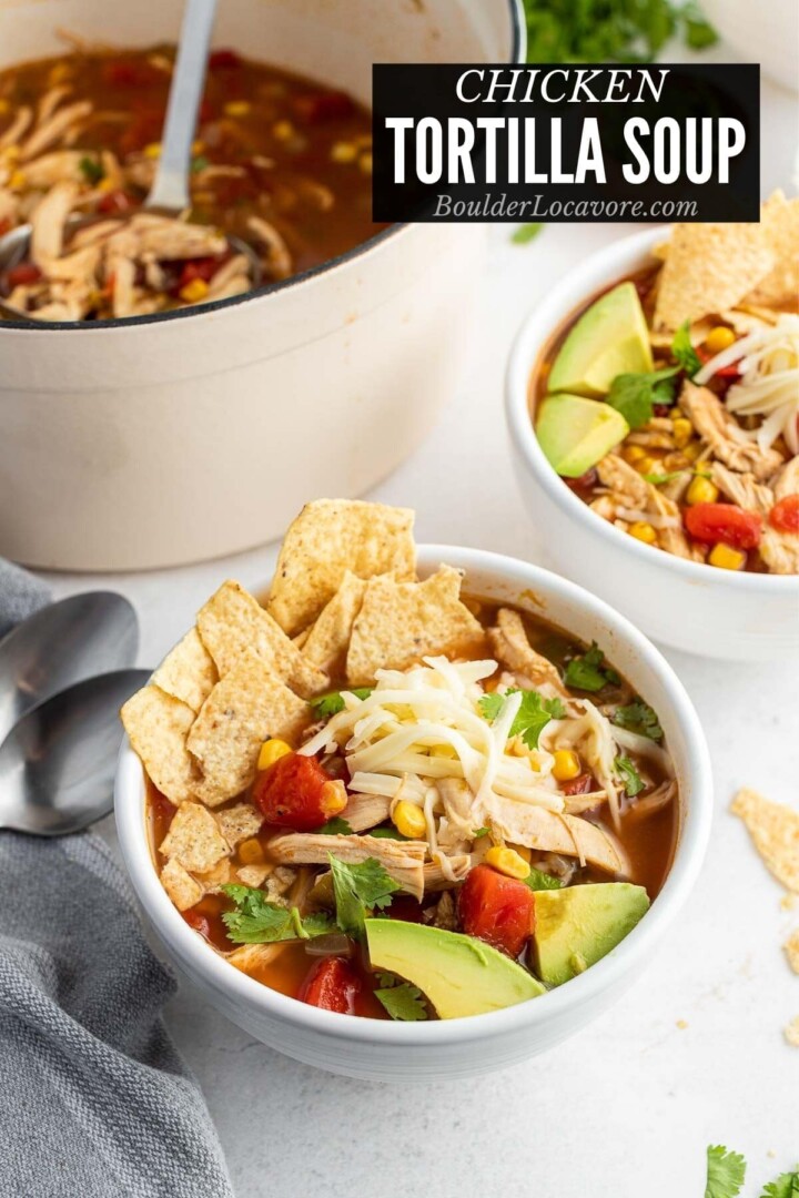 Easy Chicken Soup Recipes - Comfort Food At Its Best!