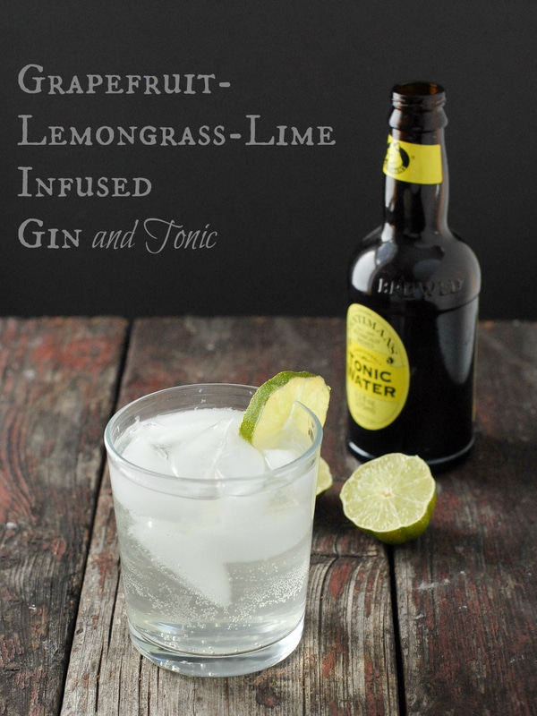 Galway Gin an Tonic Lemon and Lime Pair G600152 - The Home Depot