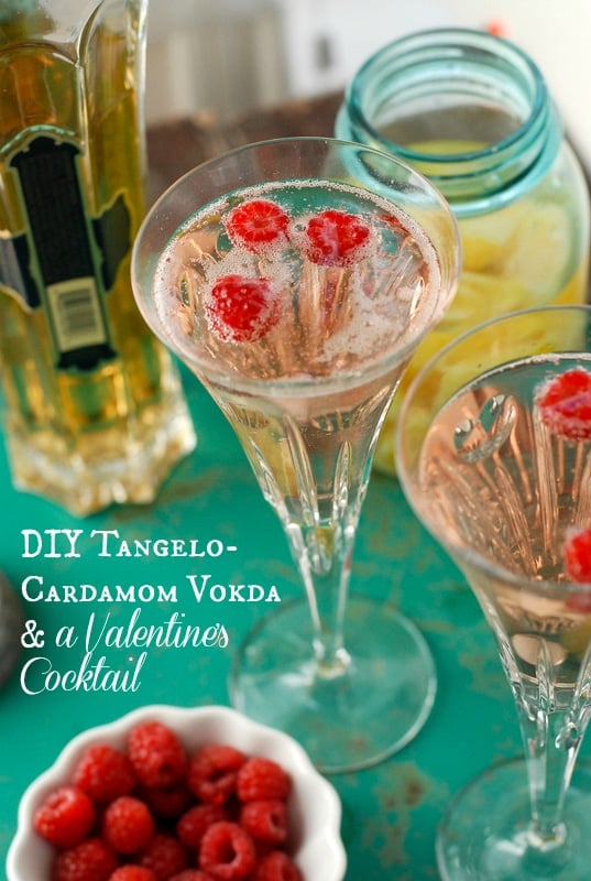 Homemade Tangelo-Cardamom Vodka Valentine's Cocktail