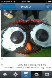 Owl cupcakes