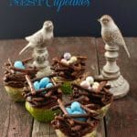 Chocolate Bird's Nest cupcakes | BoulderLocavore.com