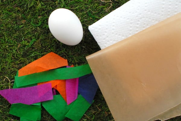 eggs, tissue paper shreds, paper towel