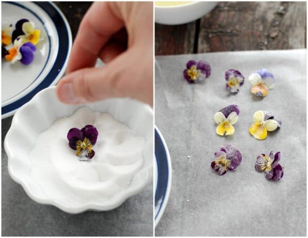 Sugaring Pansies - sprinkling on sugar