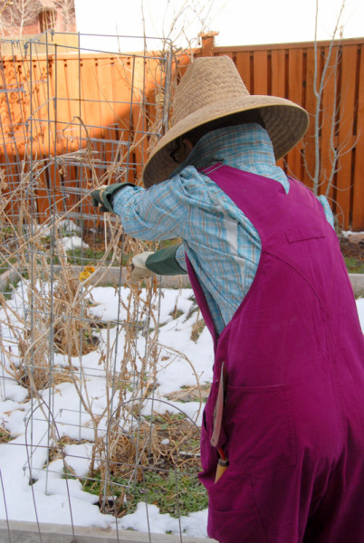 girl in pink overalls working in garden