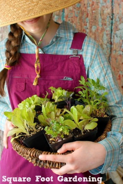 Square Foot Gardening - holding plants