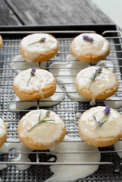 Sugar Cookie Lemon Glaze Lavender buds 