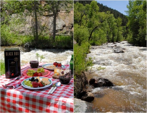 Mountain Picnic by the river