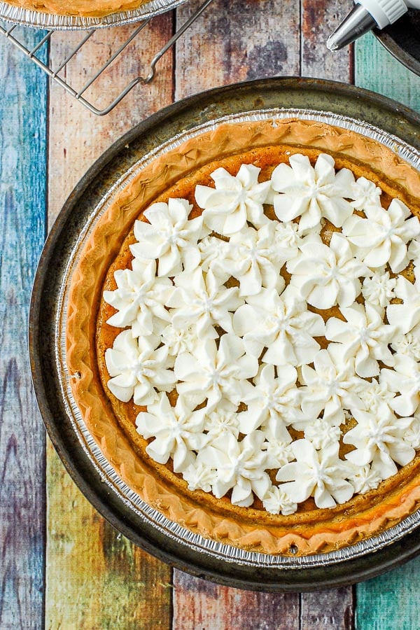 Sour Cream Raisin Pie on colorful wood surface