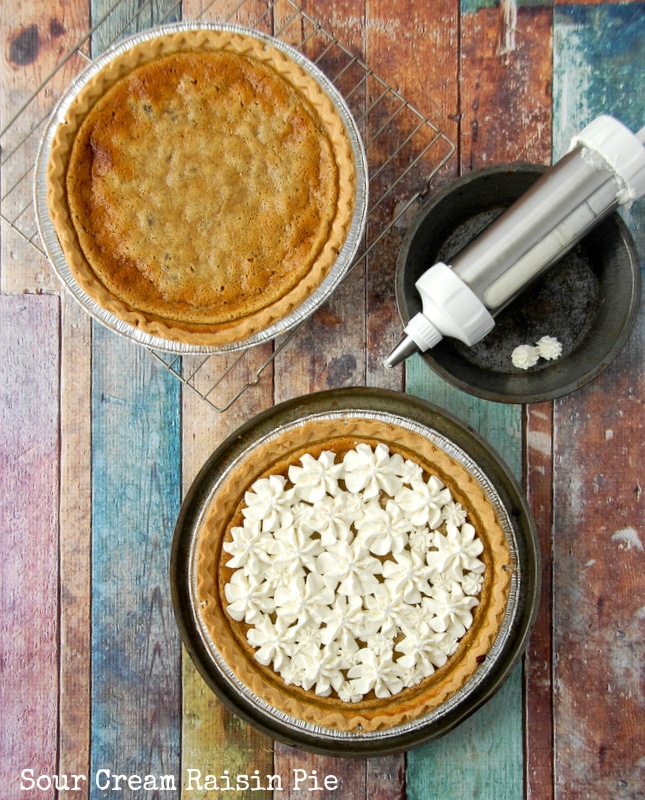 Sour Cream Raisin Pie with whipped cream