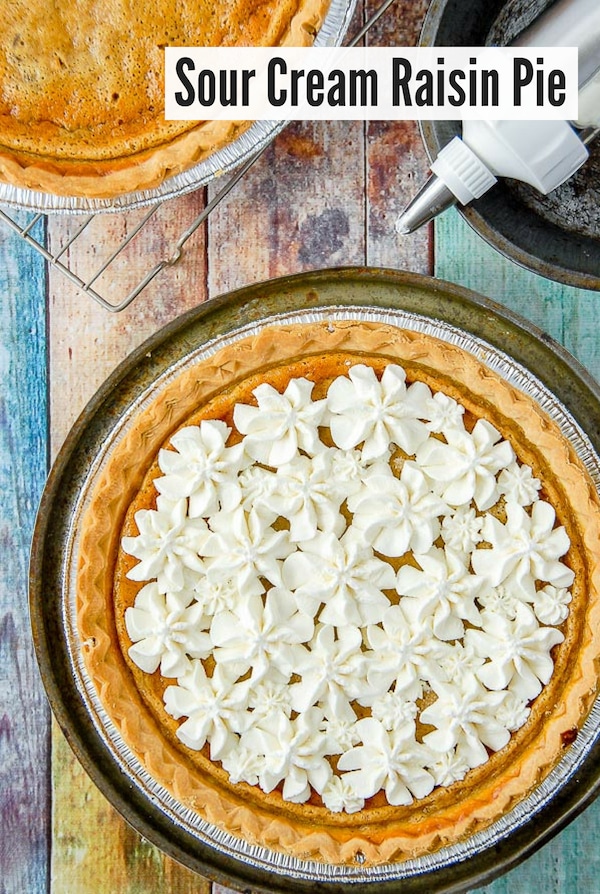 Sour Cream Raisin Pie