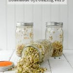 Homemade DIY Gifts: 25 Natural Bath and Beauty Recipes