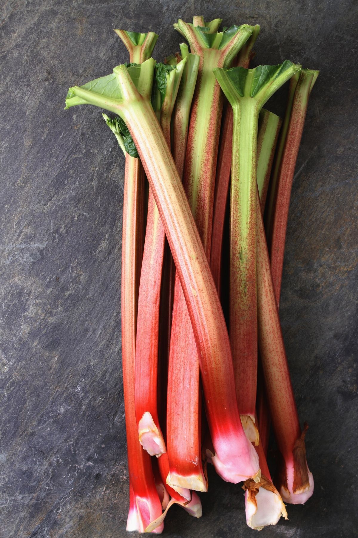 stalks of rhubarb