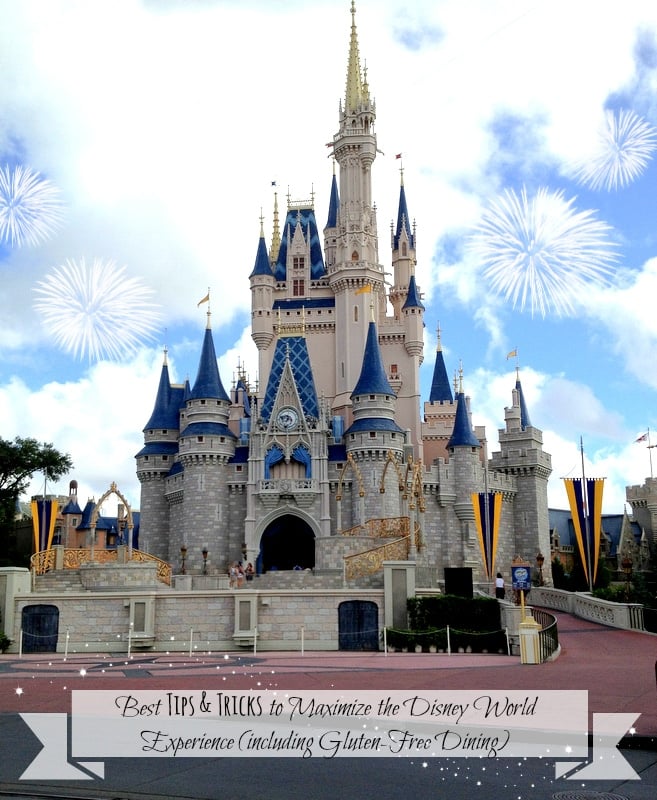 Cinderella's Castle Walt Disney World