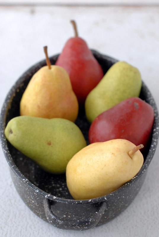 Fall Pears multi colors