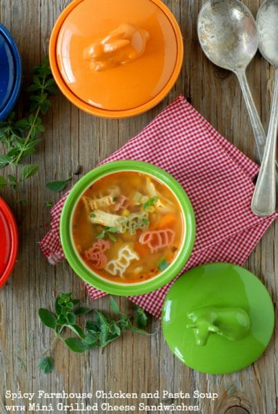 Spicy Farmhouse Chicken and Pasta Soup