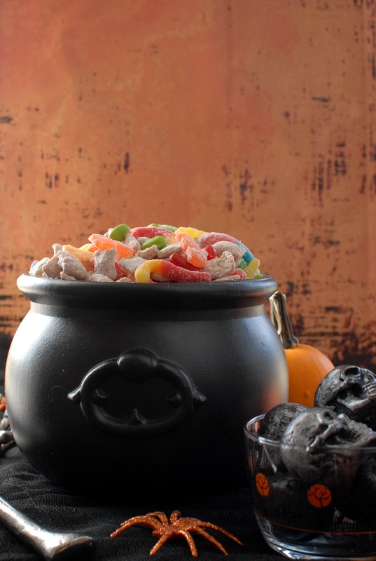 Cinnamon Witch Bits puppy chow in colander