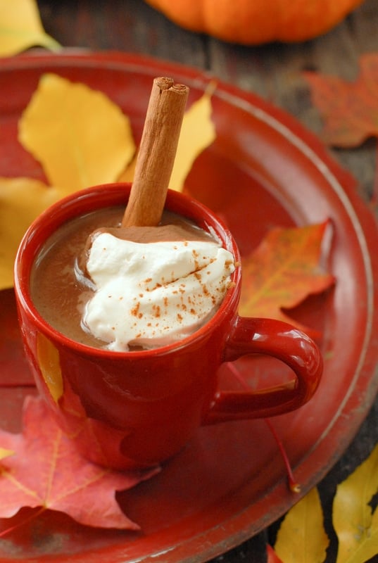 Pumpkin Mexican Hot Chocolate with whipped cream