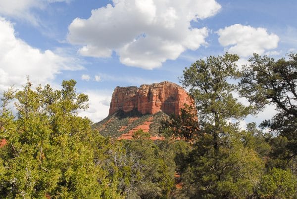 Sedona Arizona: Red Rocks, Big Cats and a Prickly Pear Margarita {recipe}