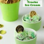 Leprechuan Tracks Ice Cream