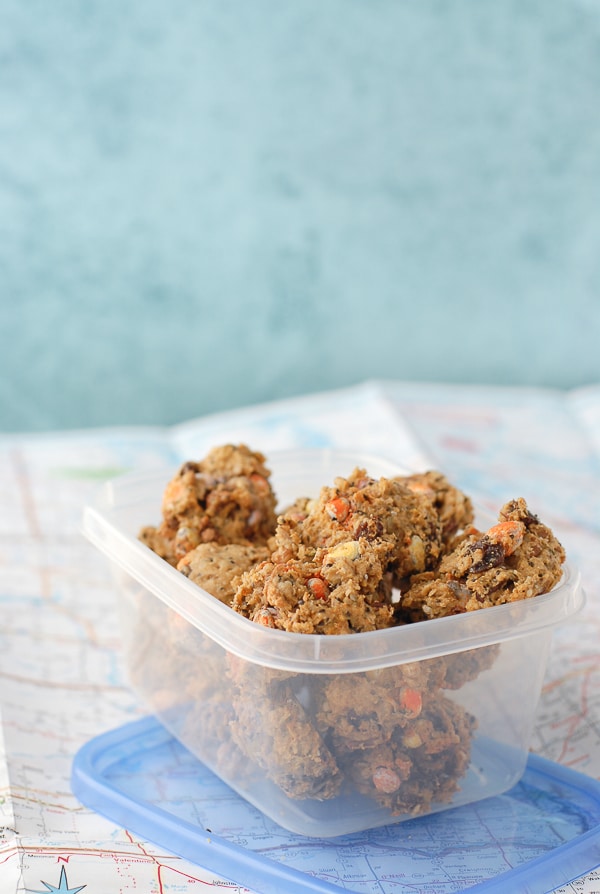 the Best Road Trip Breakfast Cookies 