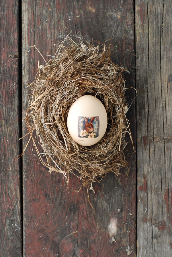 Tatooed Easter Egg in Bird Nest