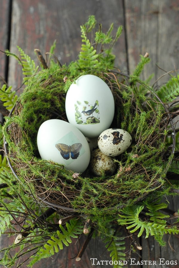 Tattooed Easter Eggs in Nest {tutorial}