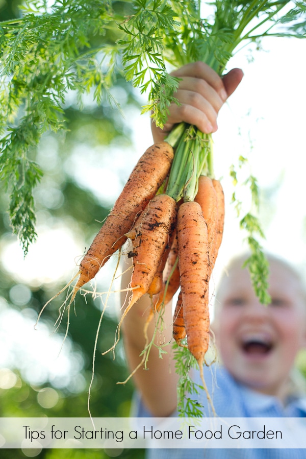 child holding carrots