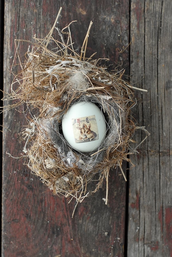 easter egg decorated with vintage image tattoo in birds nest