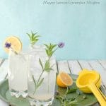 Meyer Lemon Lavender Mojito