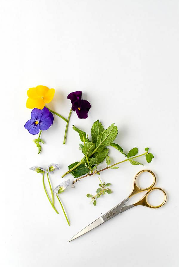 Purple and yellow pansies, fresh mint sprigs, lemon thyme and gold handled scissors 