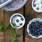 Blueberry Coconut Ice Cream with Dark Chocolate bits