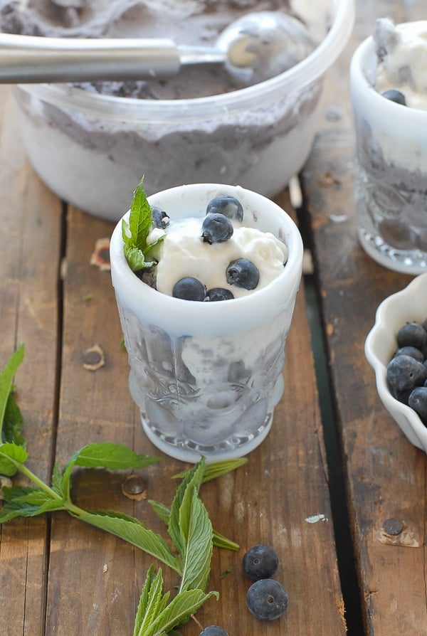 Blueberry Coconut Ice Cream with Dark Chocolate bits With fresh mint