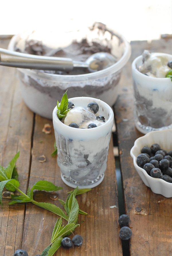 Blueberry Coconut Ice Cream with Dark Chocolate bits in a glass