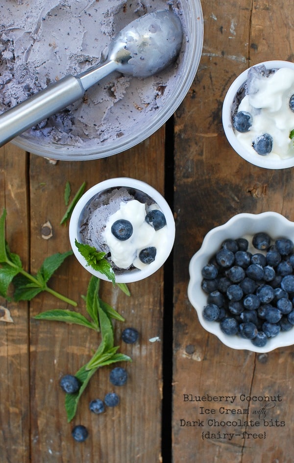 Blueberry Coconut Ice Cream with Dark Chocolate bits