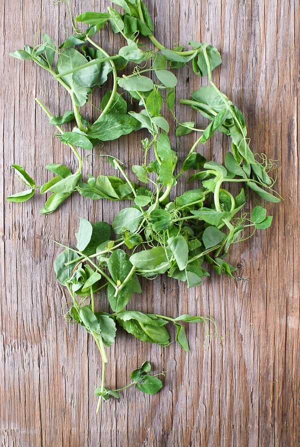 Pea Shoots 