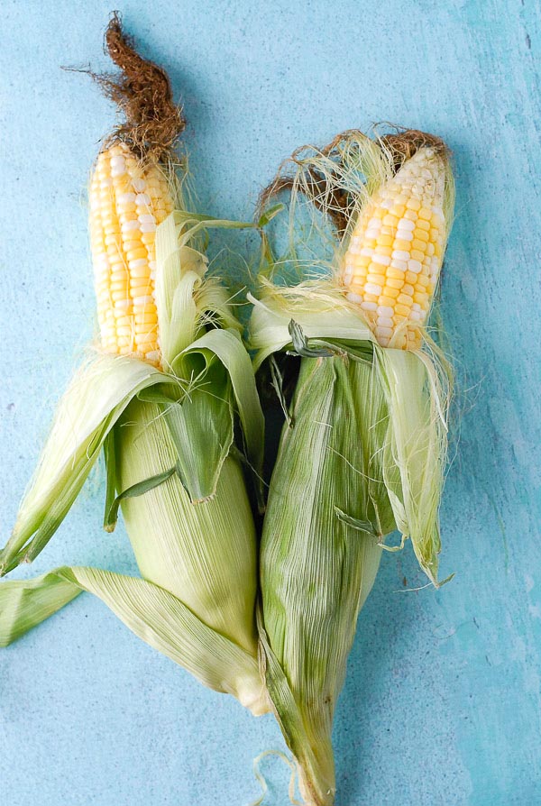 Fresh sweet corn on the cob on blue plaster surface 